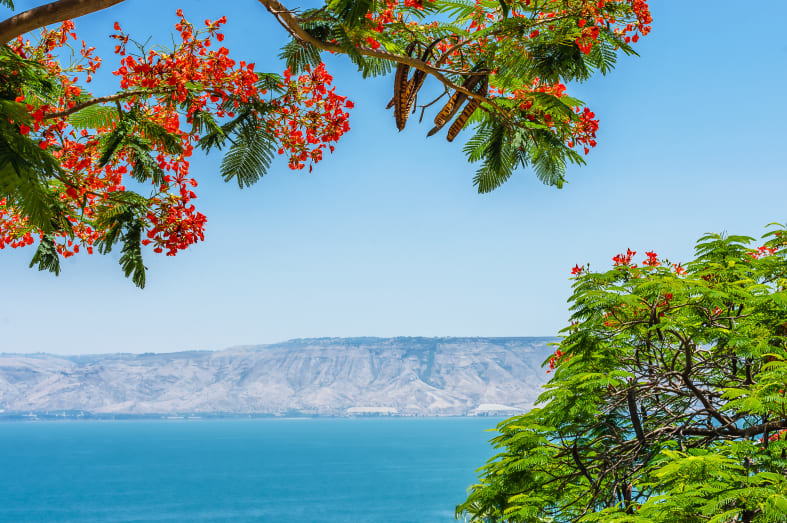 Tiberias Sea of Galilee  