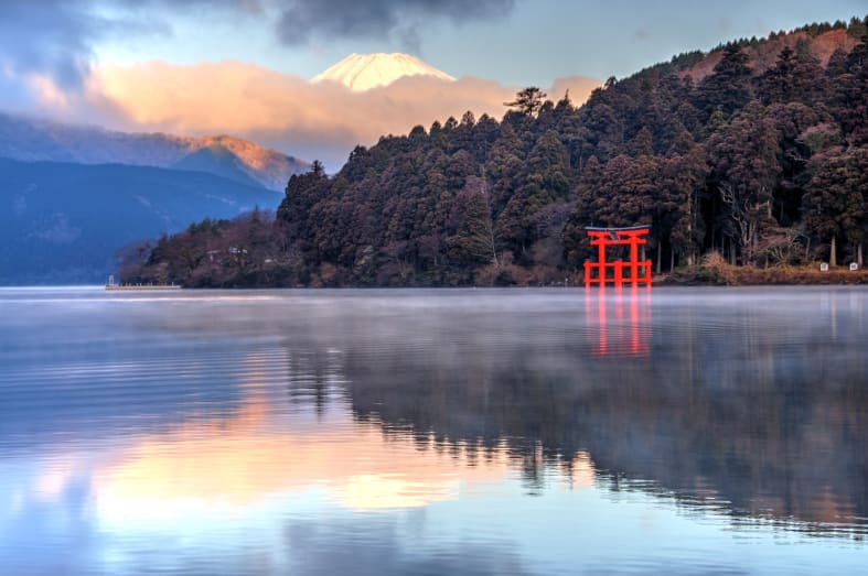 Red Tori Gate on Lake Ashi