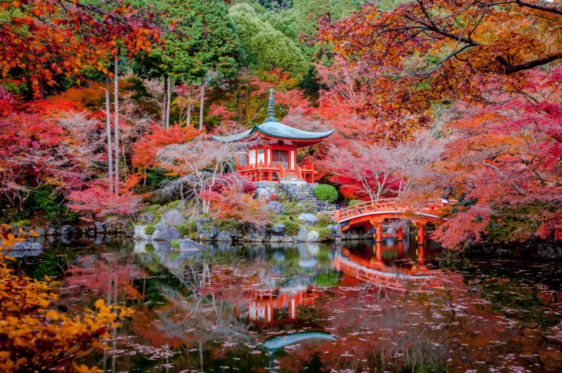 Kyoto - Authentic Japan