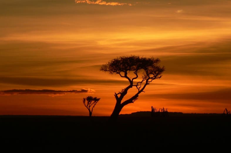 Kenyan Sunset - Romance and Luxury for your Honeymoon