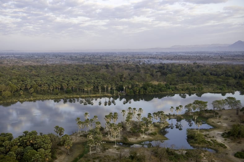 Aerial view of Liwonde National Park 
