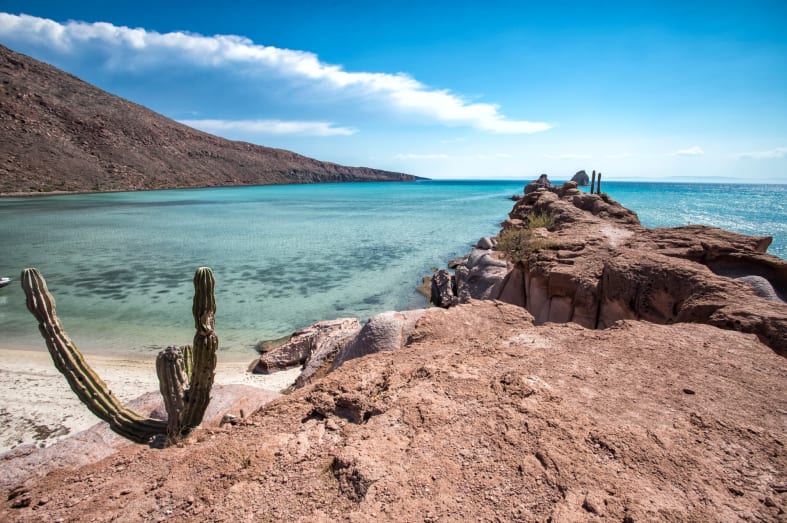 Epic Baja California 