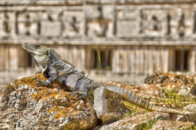 Uxmal ruins - Mayan Mysteries & Beautiful Beach