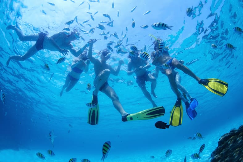 Snorkelling - Mayan Mysteries & the Caribbean Coast 
