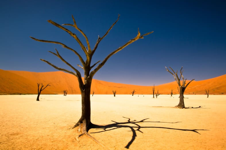 Dead Vlei - Namibia for Teenagers
