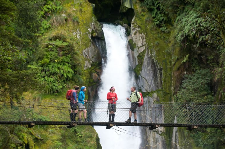 Walks from Fiordland Lodge  - New Zealand's Great Outdoors
