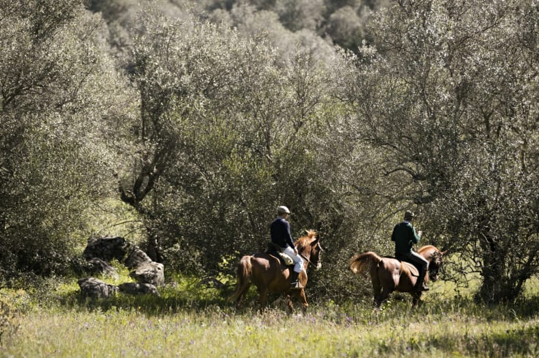 Horse riding - Discover Alentejo and Andalucia