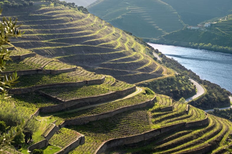 Douro Valley 