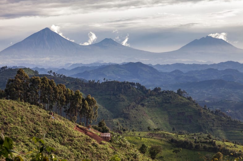 Volcanoes National Park - Rwanda and Tanzania in Ultimate Luxury