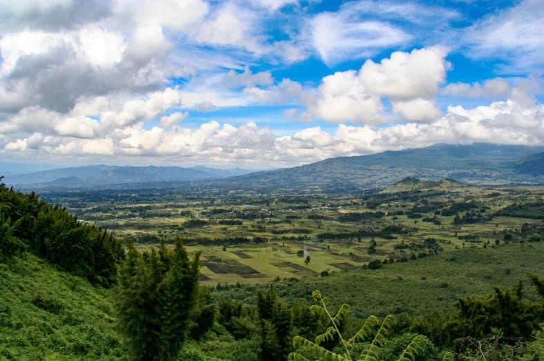 Rwanda View