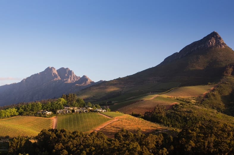 The Winelands 