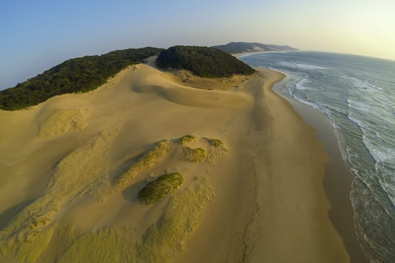 Elephant Coast - South Africa Uncovered 