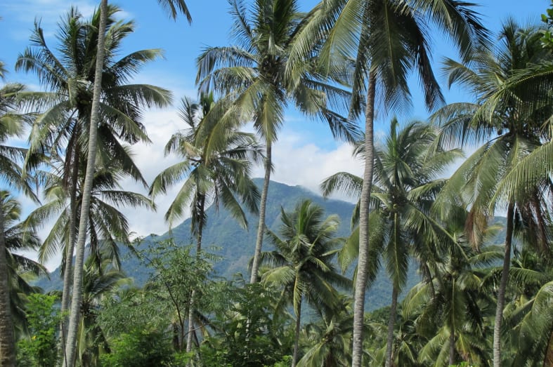 Tropical Setting - Sri Lanka for Teenagers
