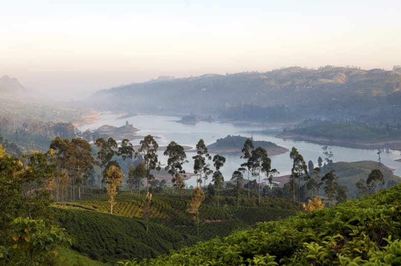 Ceylon Tea Trails - Sri Lanka in Style