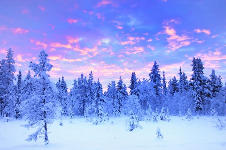 Lapland sunrise - Swedish Lapland for families