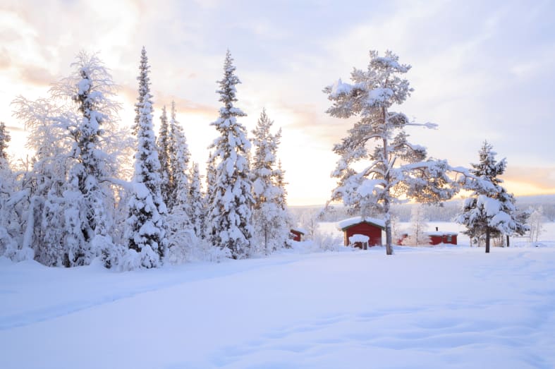 Lappish scenery - Swedish Lapland for families