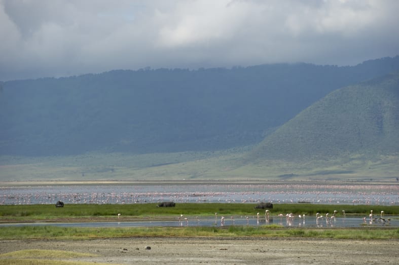 Flamingos, Ngorongoro Crater - Highlights of Northern Tanzania
