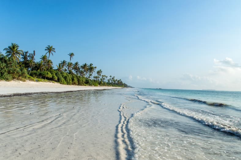Zanzibar Beach - Northern Tanzania Uncovered 