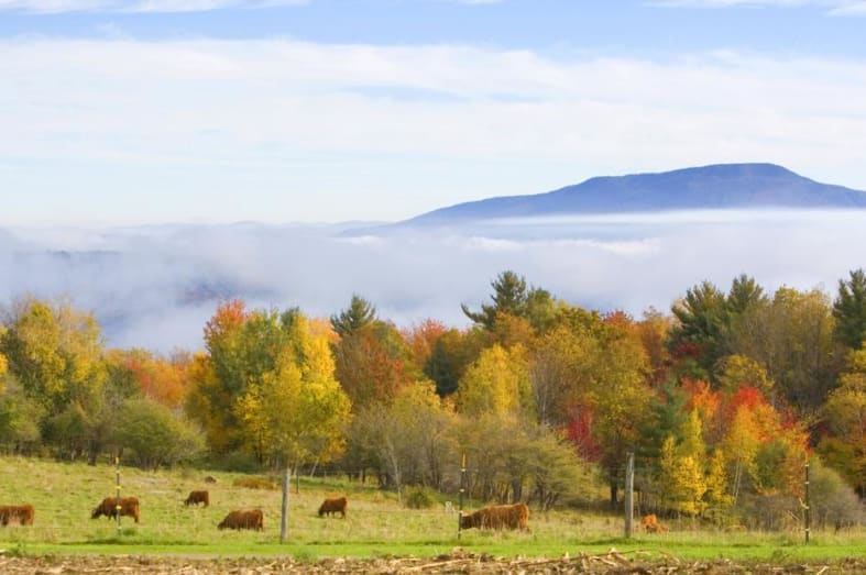 Rural idyll Vermont - - Gourmet New England