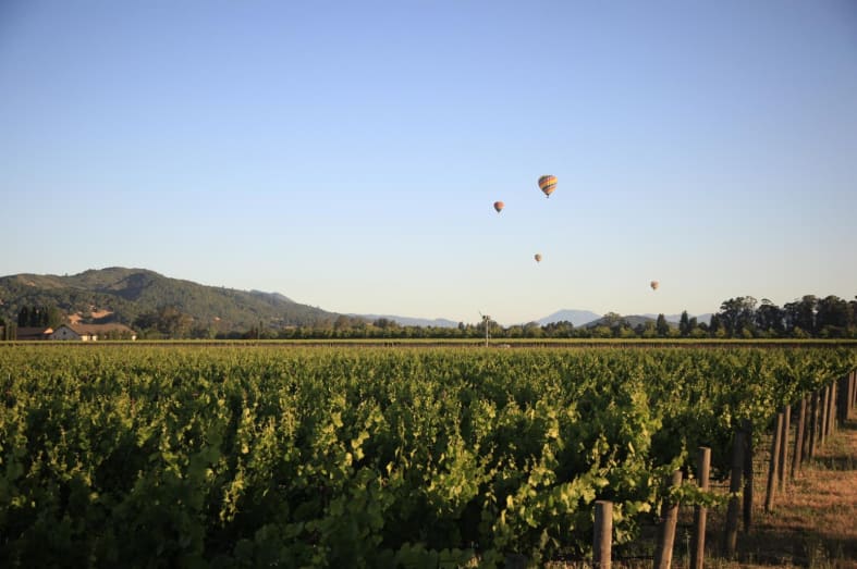 Napa Valley 