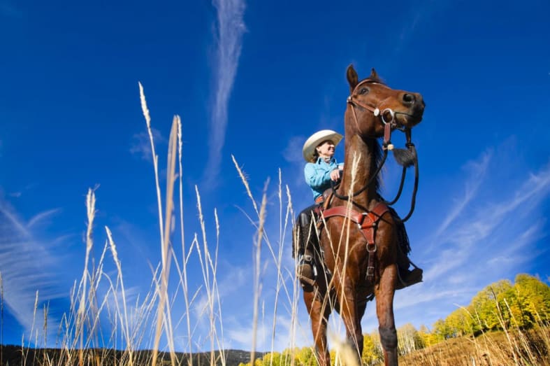 Experience the West on Horseback - USA for Teenagers