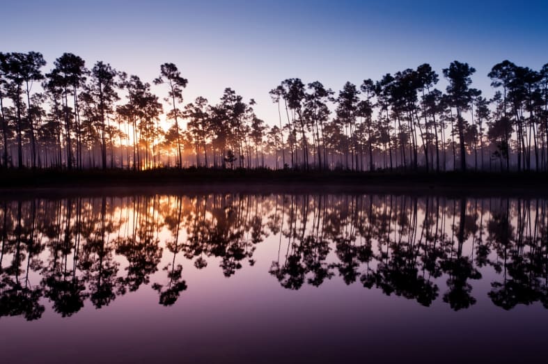 Everglades National Park  