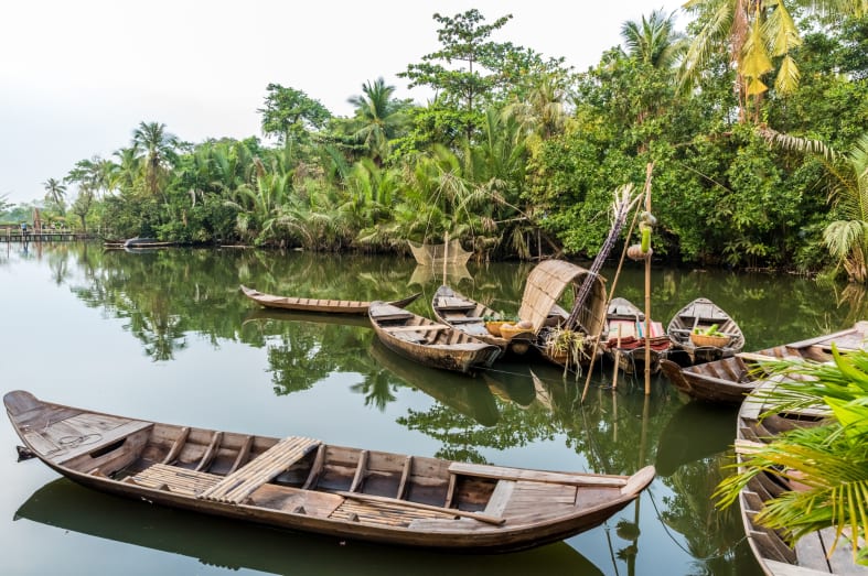 Mekong Delta 
