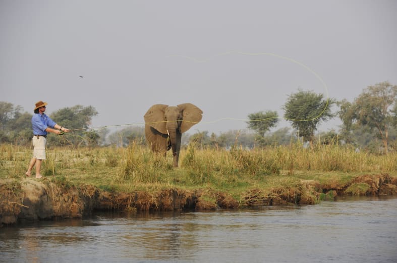 Fishing on Zambezi - Best of Zambia