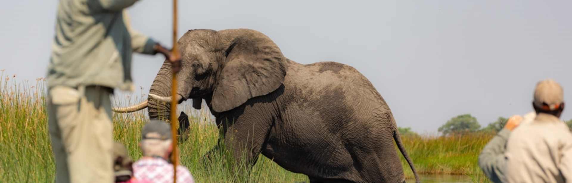 Plan your Africa trip today