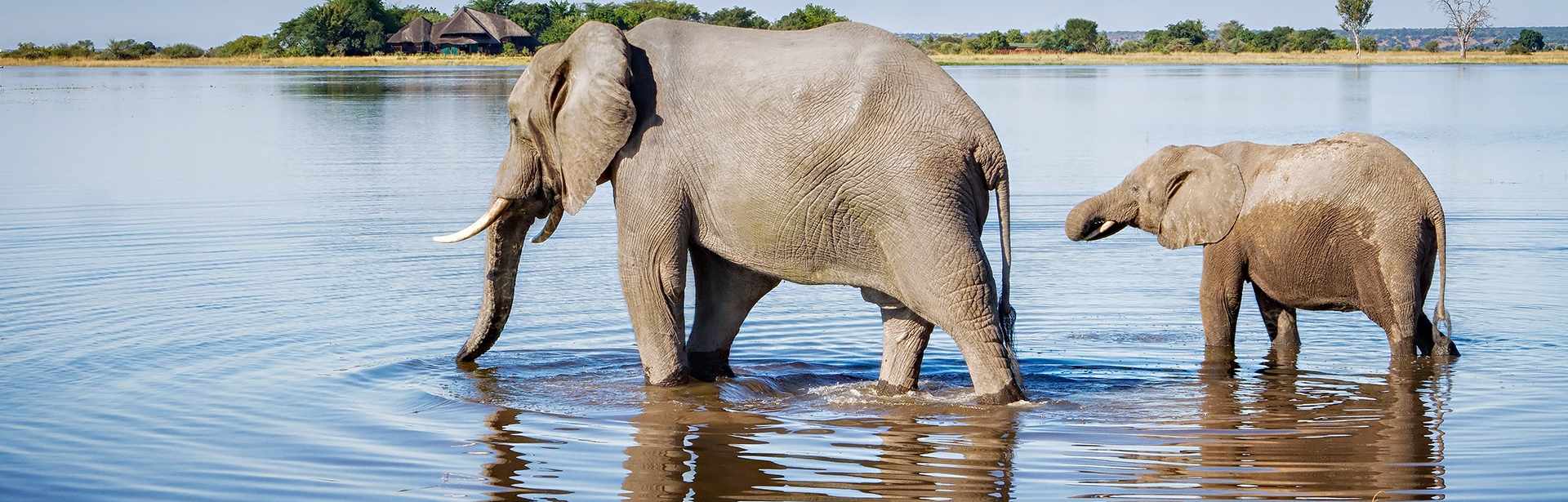 Plan your Botswana trip today