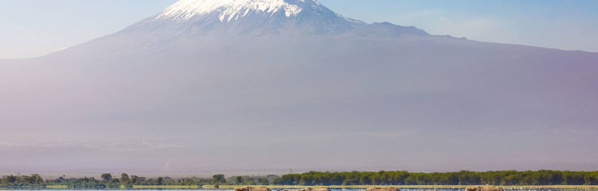 Plan your Kenya trip today