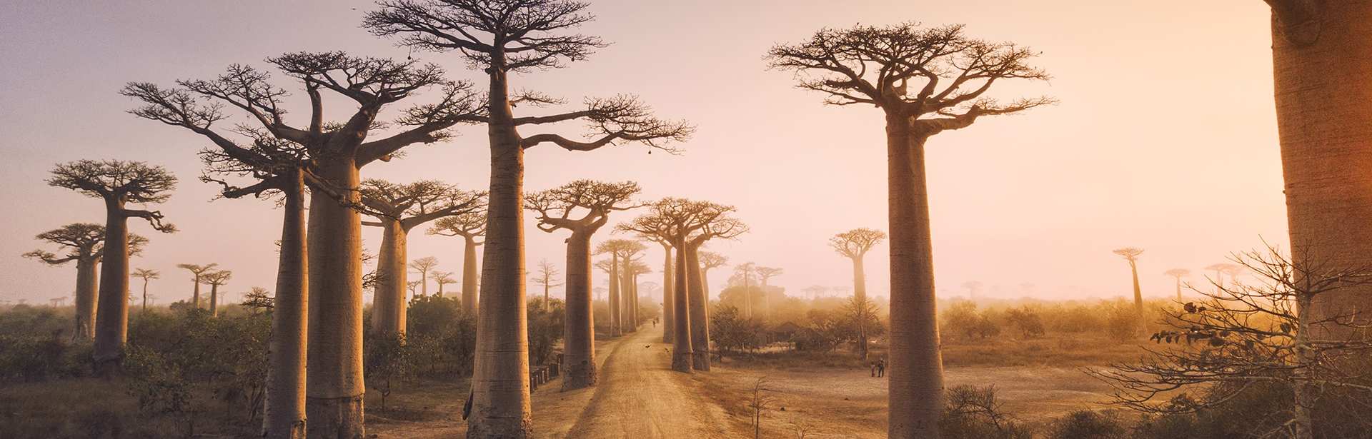 Plan your Madagascar trip today