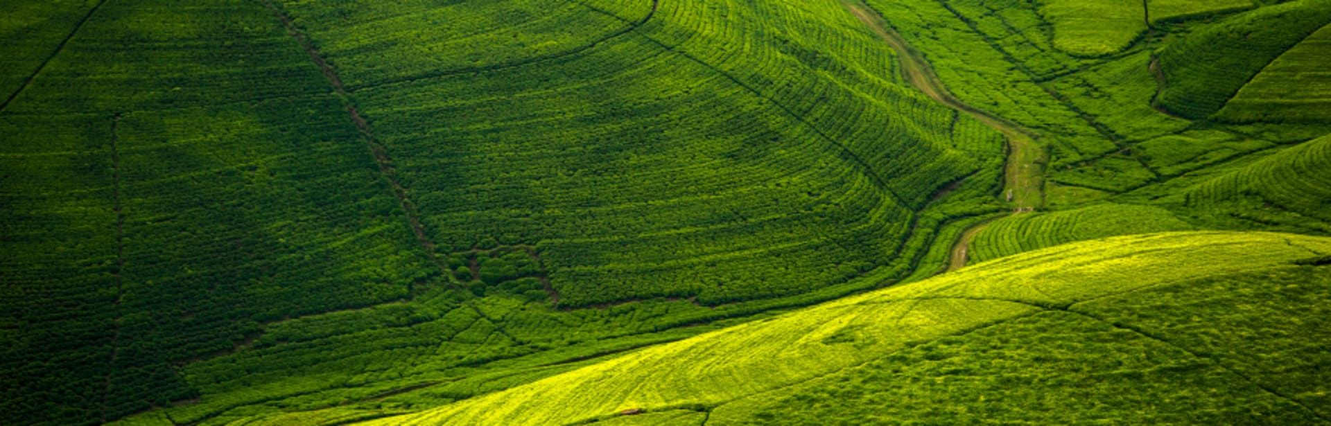Plan your Rwanda trip today