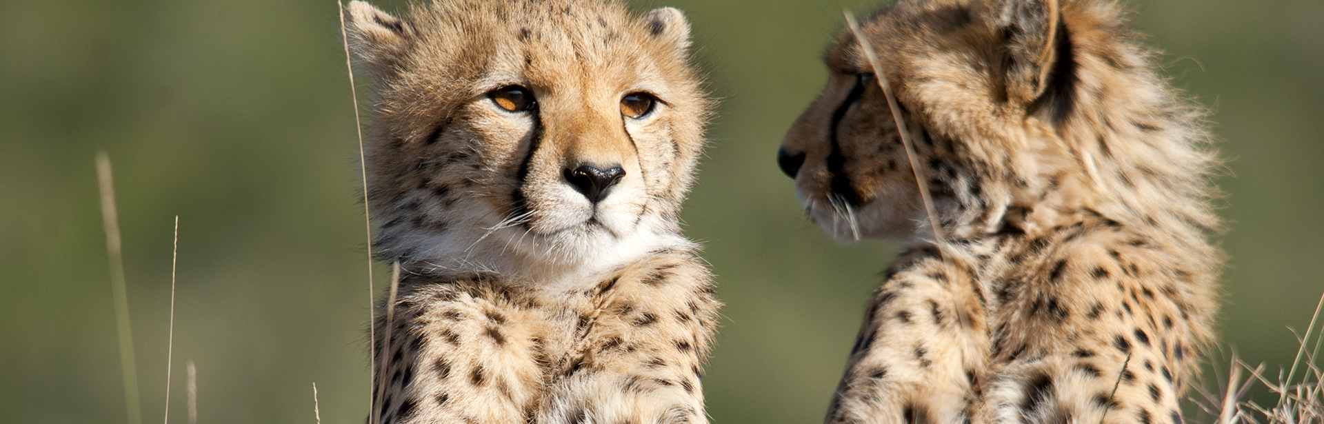 Plan your Tanzania trip today