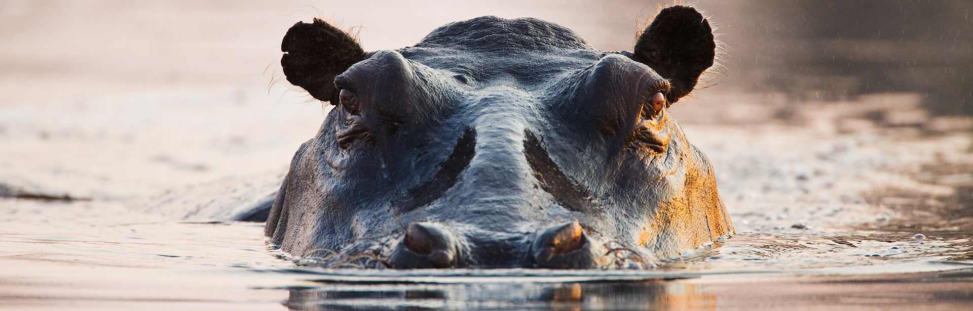 Plan your Zambia trip today