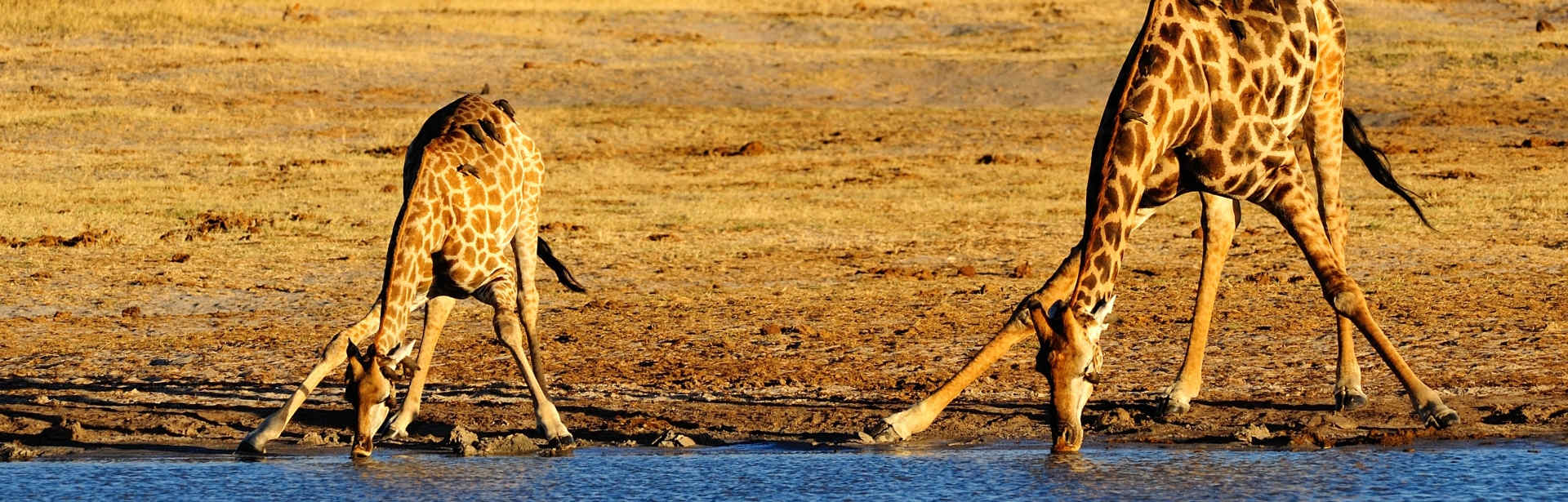 Plan your Zimbabwe trip today