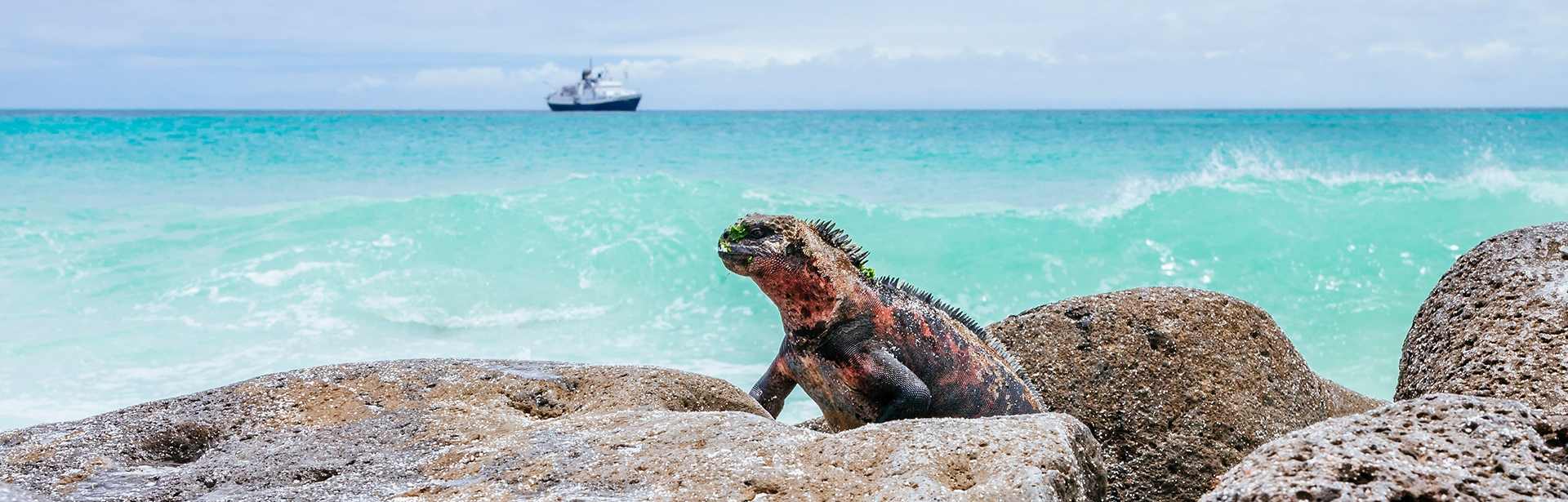Plan your Ecuador trip today