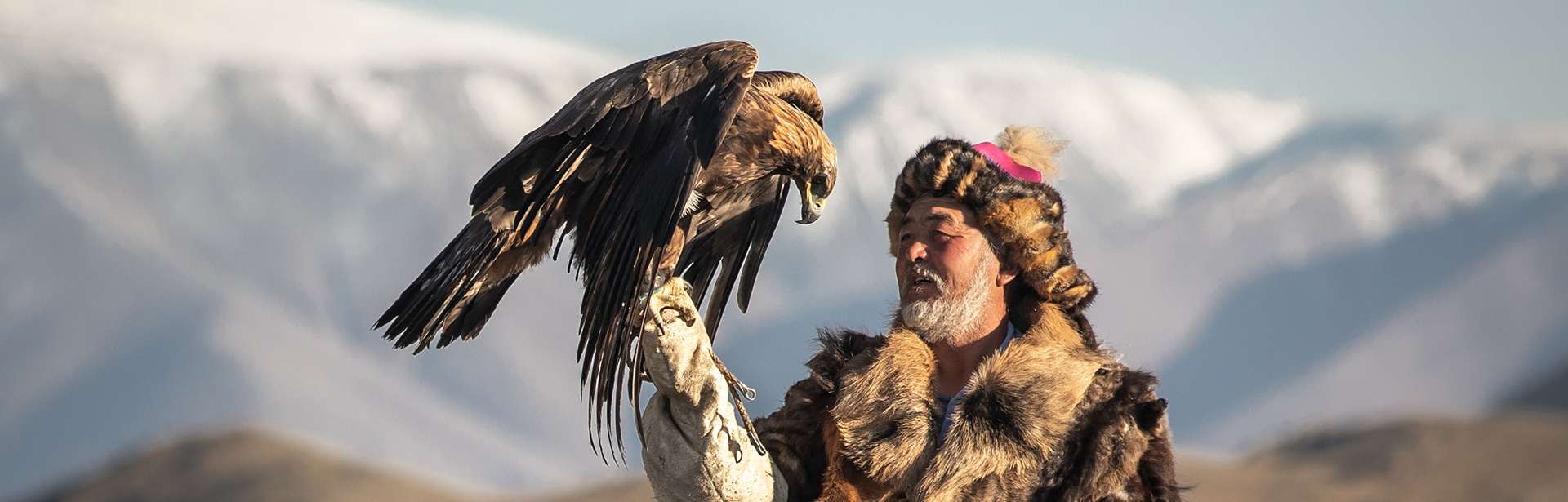 Plan your Mongolia trip today