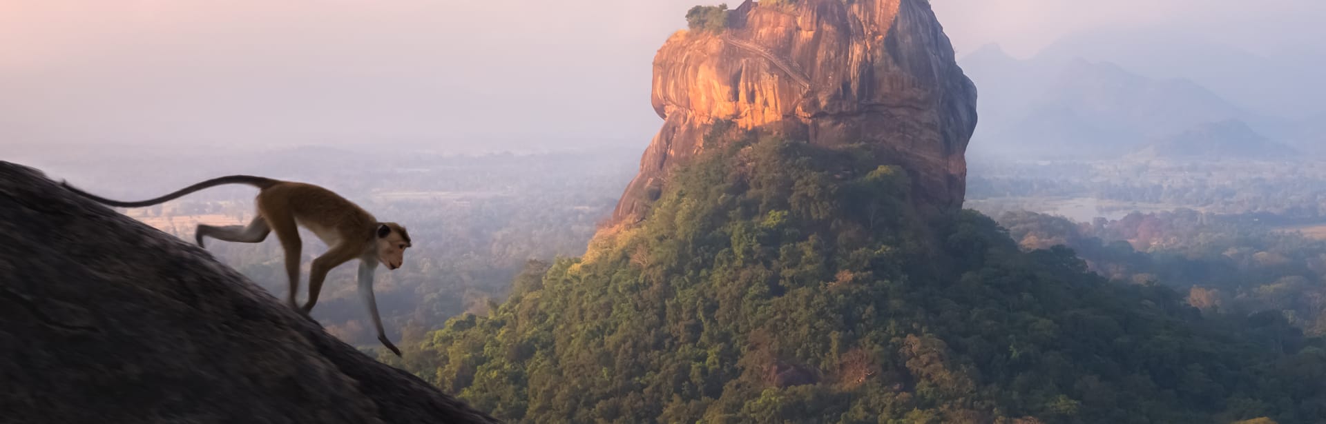 Plan your Sri Lanka trip today