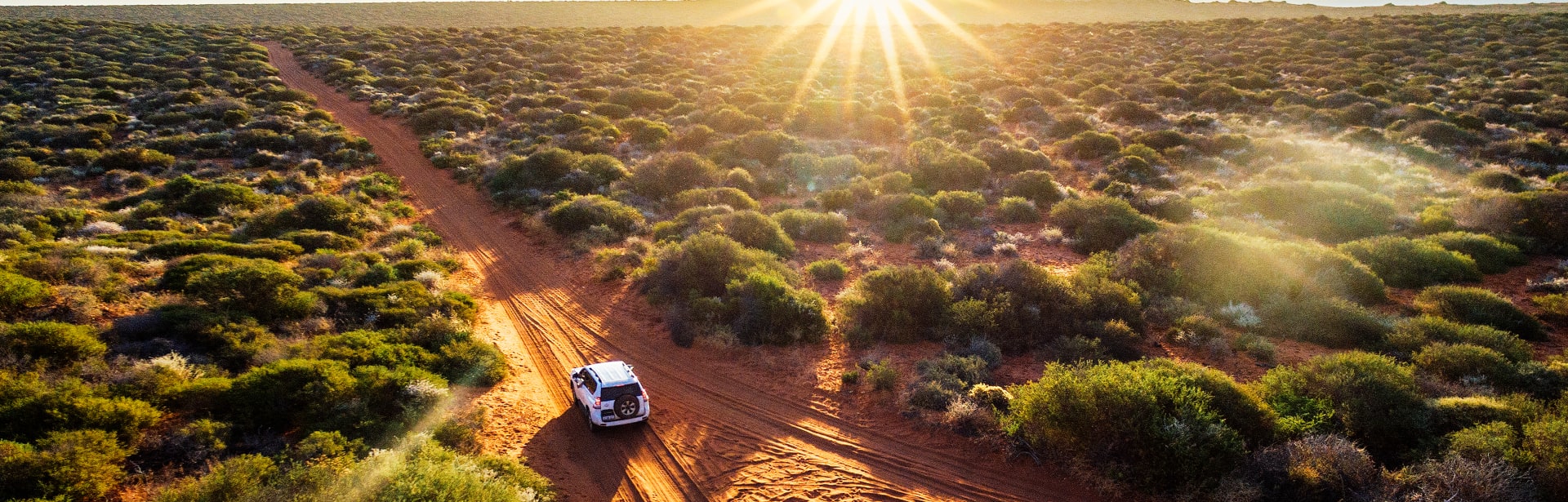 Australia Unlocked: Wild South to Island North 