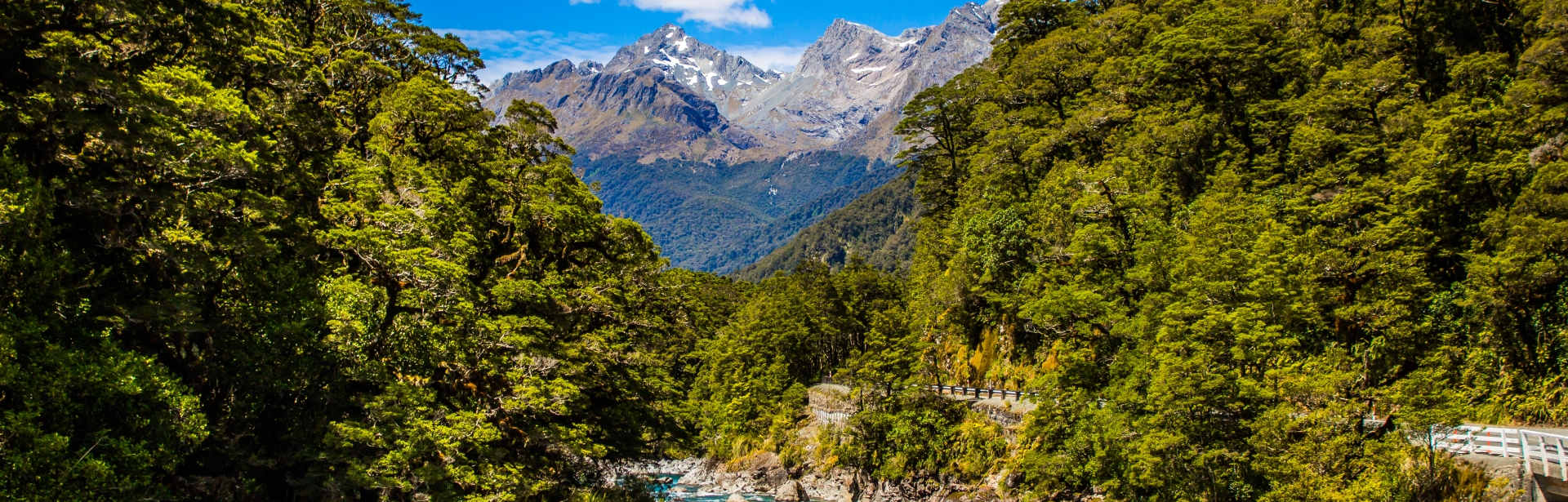 Exceptional Australia and New Zealand 