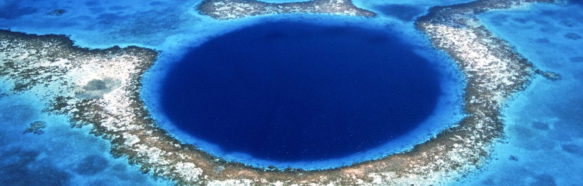 Dive Belize 