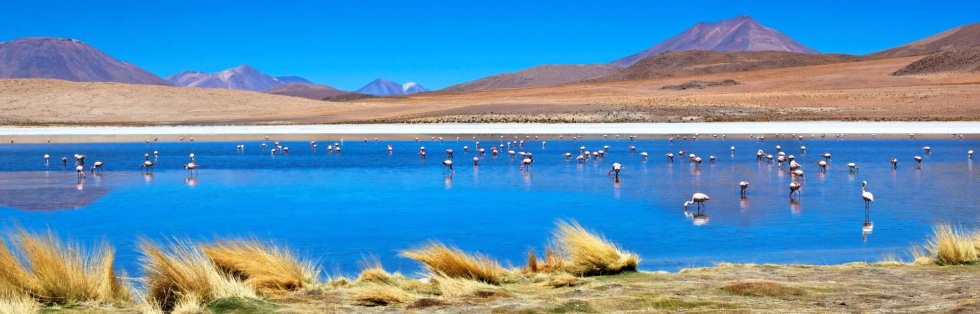 Ultimate Altiplanic Chile, Bolivia & Peru 