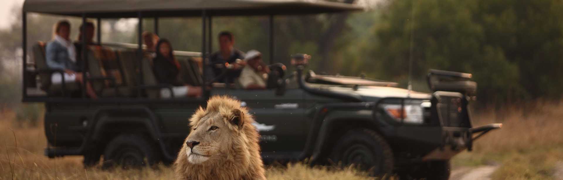Exceptional Victoria Falls, Botswana & Mozambique 
