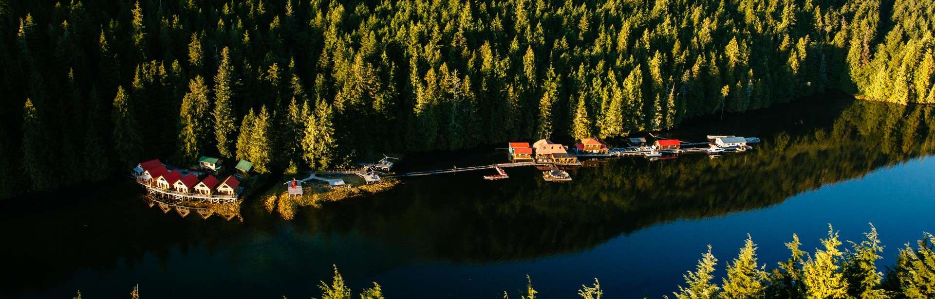 Ultimate Canada - Orcas, Dolphins & Bears 