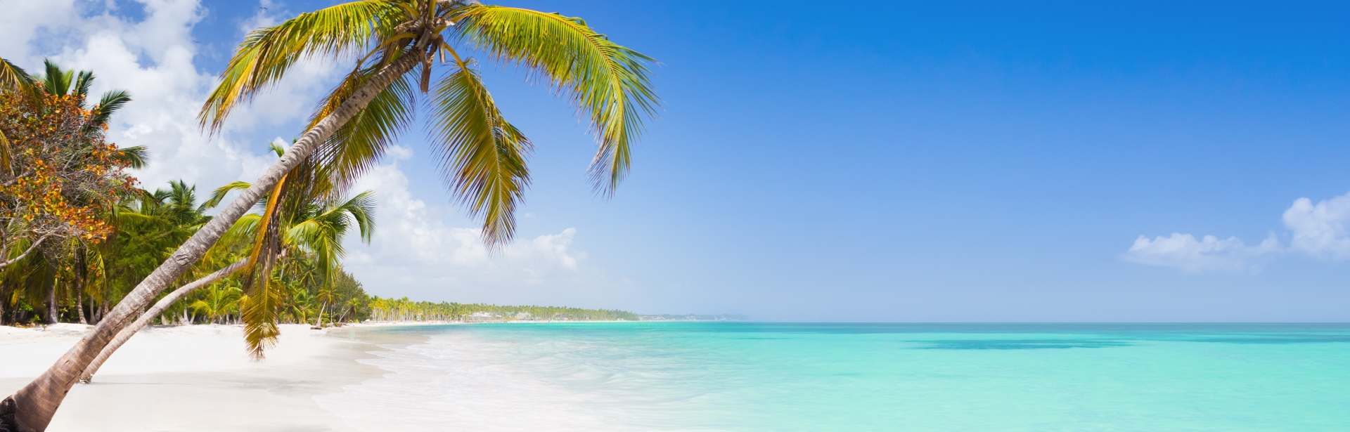 Plan your Caribbean trip today