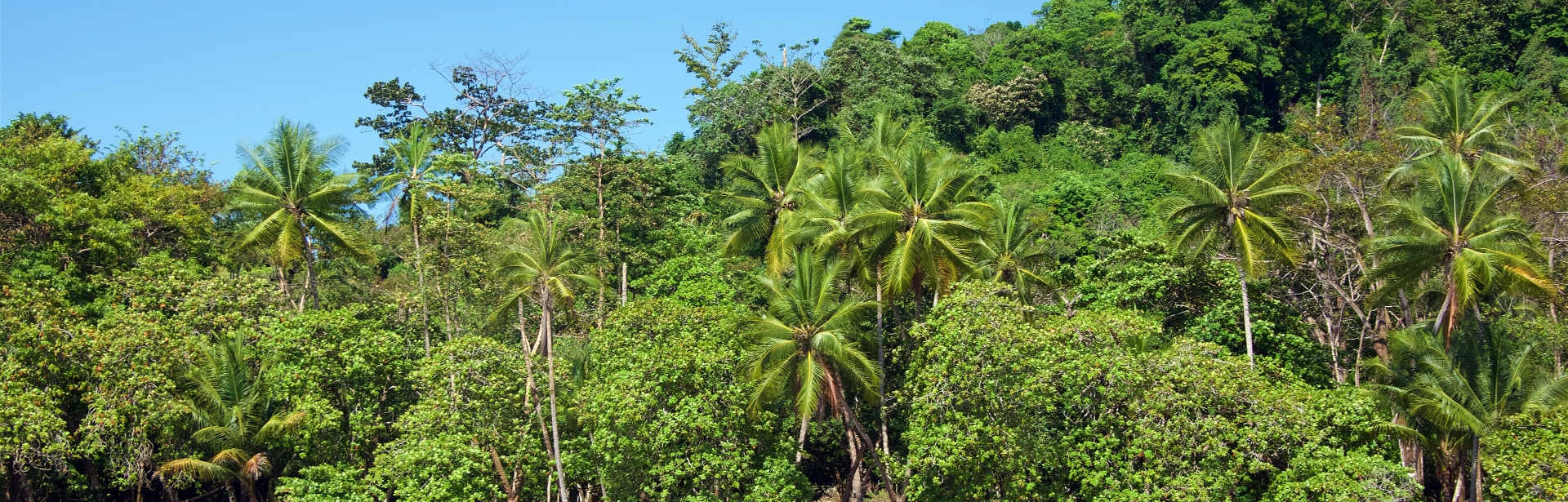 Extraordinary Costa Rica 