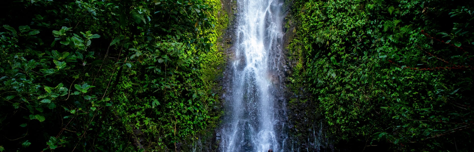 Pura Vida Family Adventure 