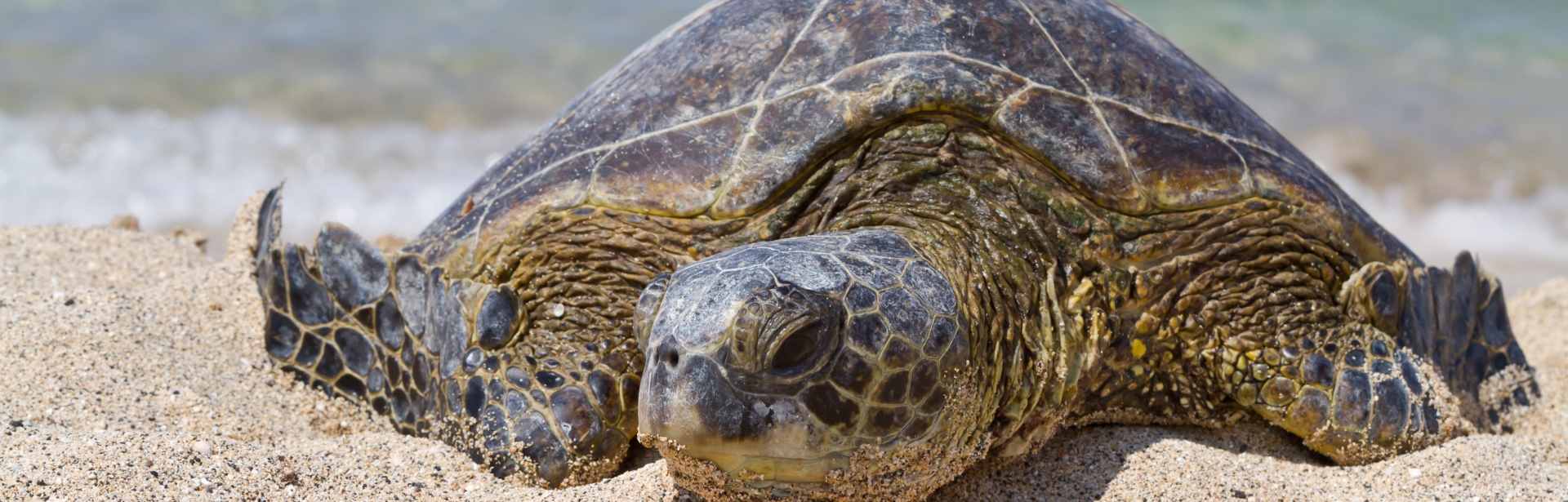 Galapagos & Ecuador with Kids 