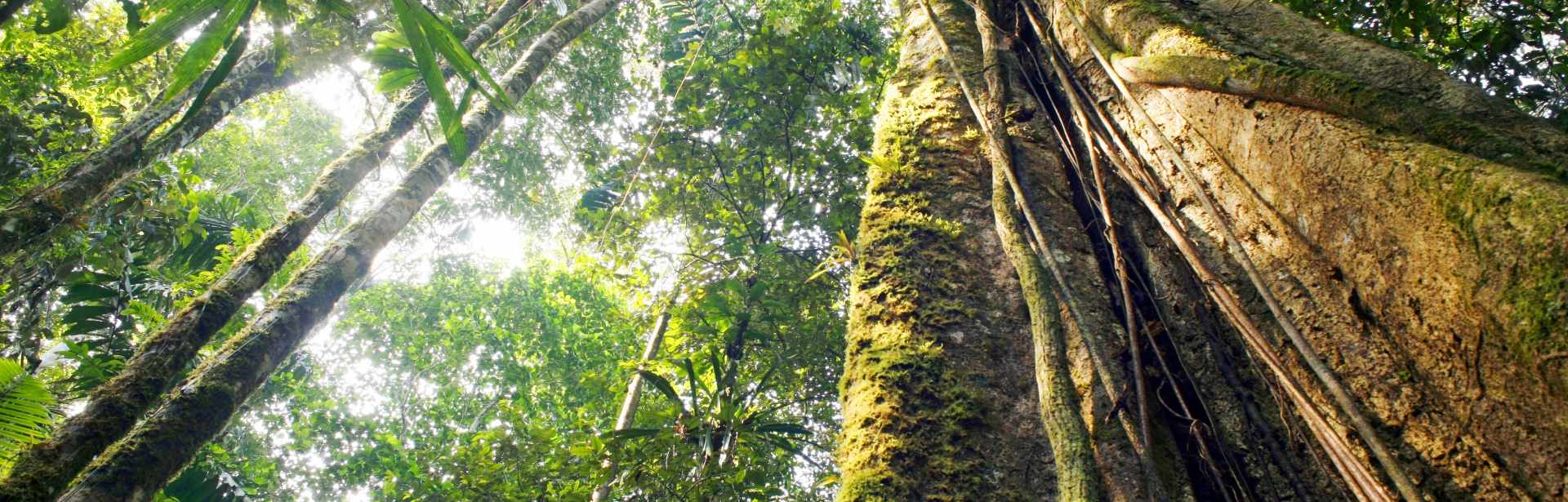 Ecuador Uncovered 